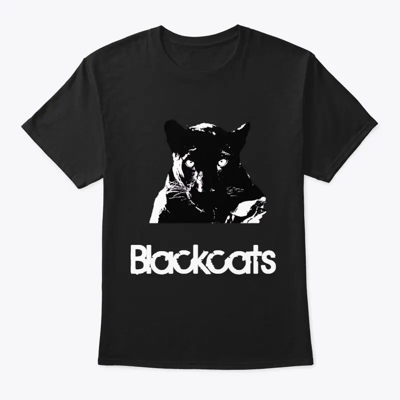 Black cat